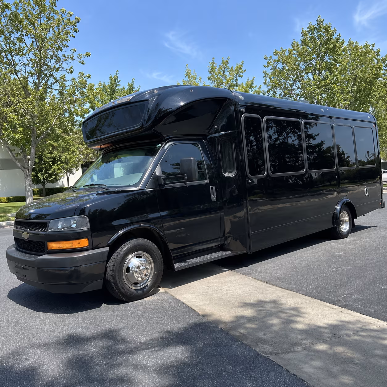 dunwoody 15 passenger party bus