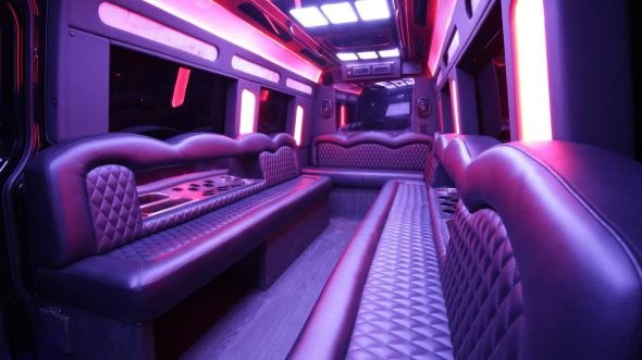 dunwoody sprinter limo rental inside